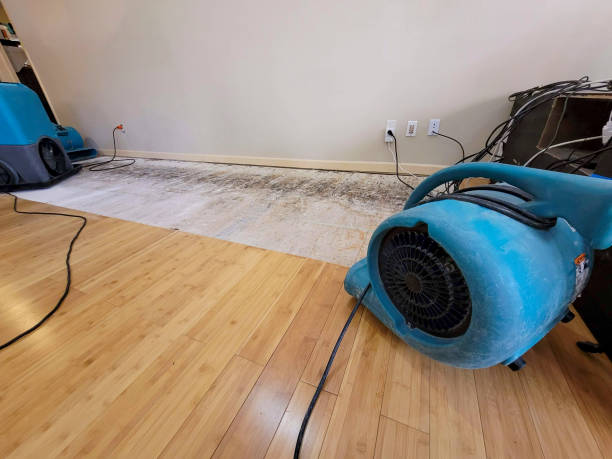 Professional Basement Flood Cleanup technician working in Bartlett, IL